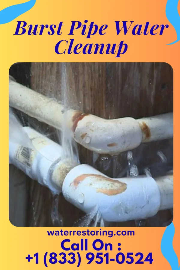Burst Pipe Water Cleanup in Vienna Bend, LA