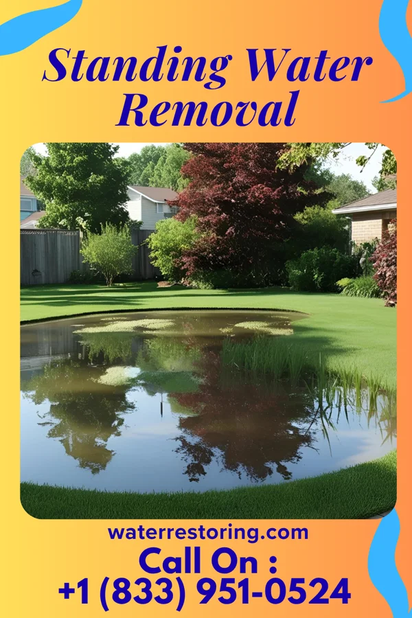 Standing Water Removal in Vienna Bend, LA